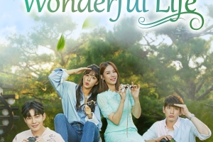 Beautiful Love, Wonderful Life